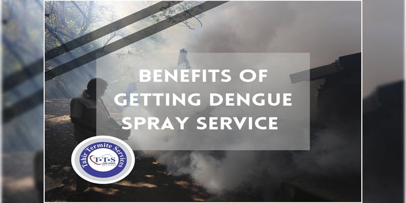 Benefits of getting Dengue spray service