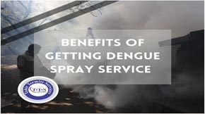 Top benefits of getting Dengue spray service in Lahore
