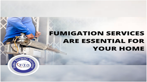 Why Fumigation services are essential for your home?