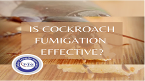 Is cockroach fumigation beneficial?