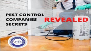 Secrets pest control companies have been hiding from you