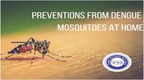 How to prevent dengue mosquitoes at home?