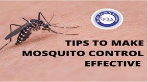Tips to make mosquito control effective