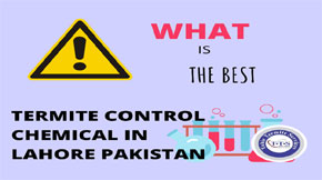 What is the best termite control chemical in Lahore Pakistan