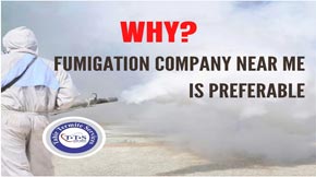 Why I should prefer a fumigation company near me over other options?