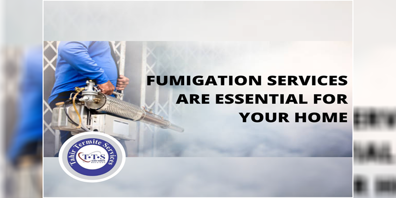 Fumigation services are essential for your home