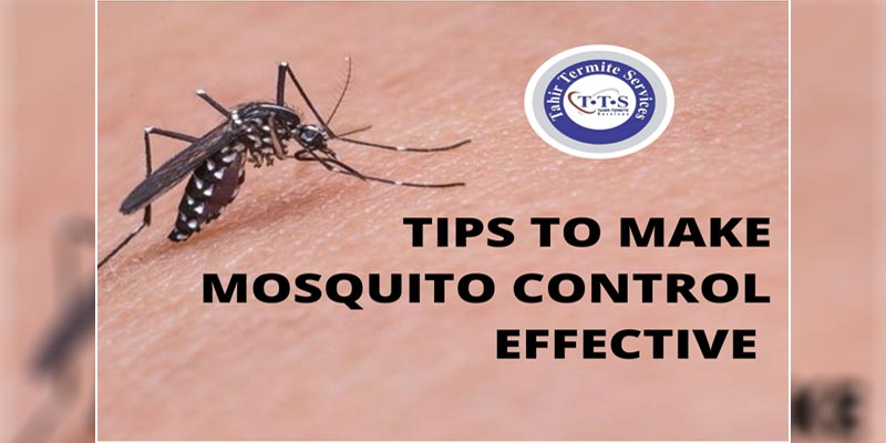 Tips to make Mosquito control effective