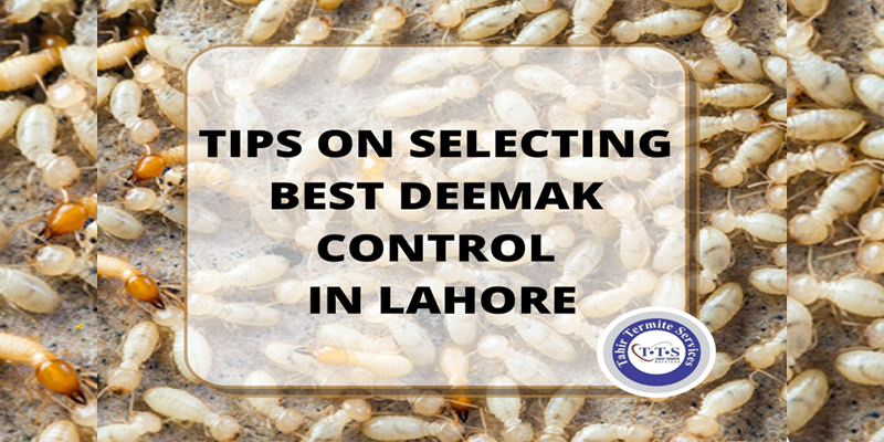 Tips on selecting best deemak control in Lahore