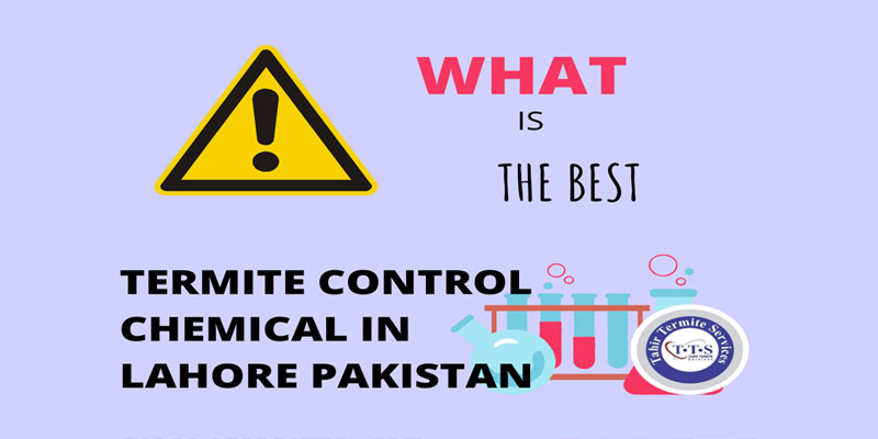 What is the best termite control chemical in Lahore Pakistan
