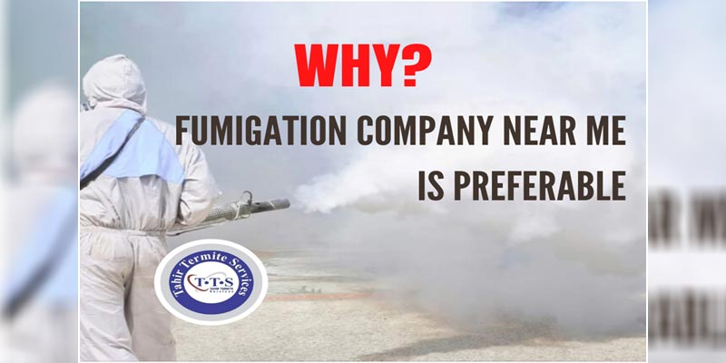 Why Fumigation Company Near Me is preferable?